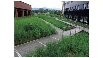 Локално подобряване на околната среда
